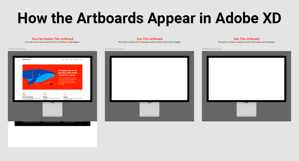 Image showing 3 Adobe XD artboards