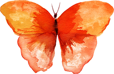Image of a watercolor butterfly